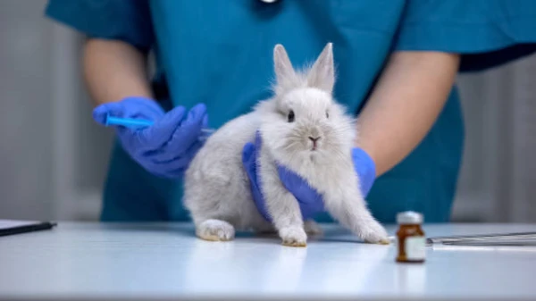 Imagem ilustrativa de Laboratório de análises clínicas veterinária em São Paulo